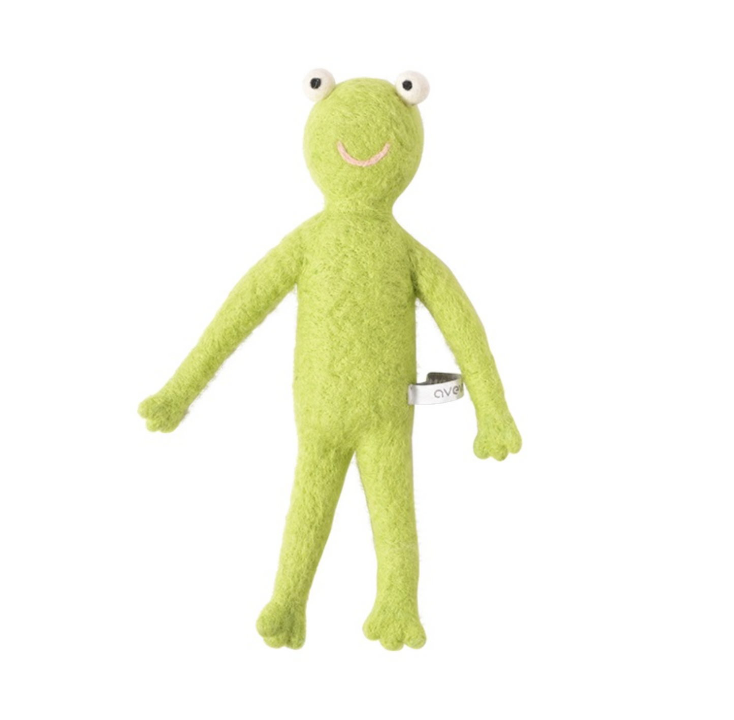 Froggy The Frog
